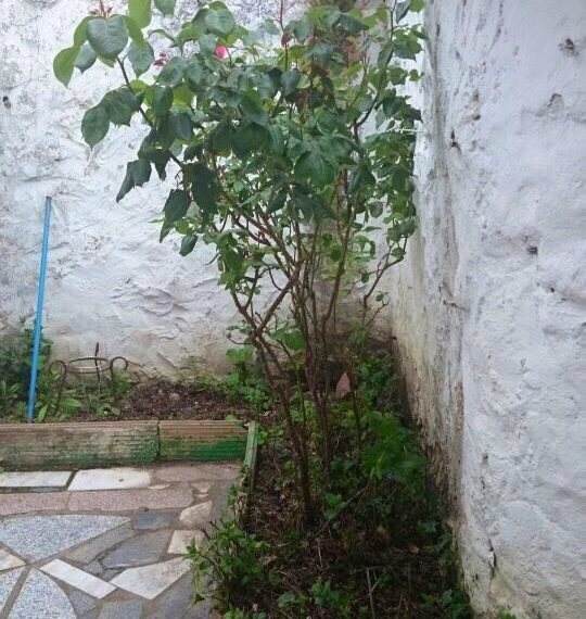 alquiler-piso-peñafiel-ca17-08