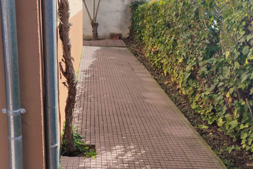 nuevogar-ca046-rabano-01