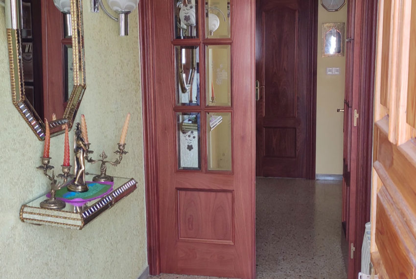 nuevogar-ca046-rabano-07