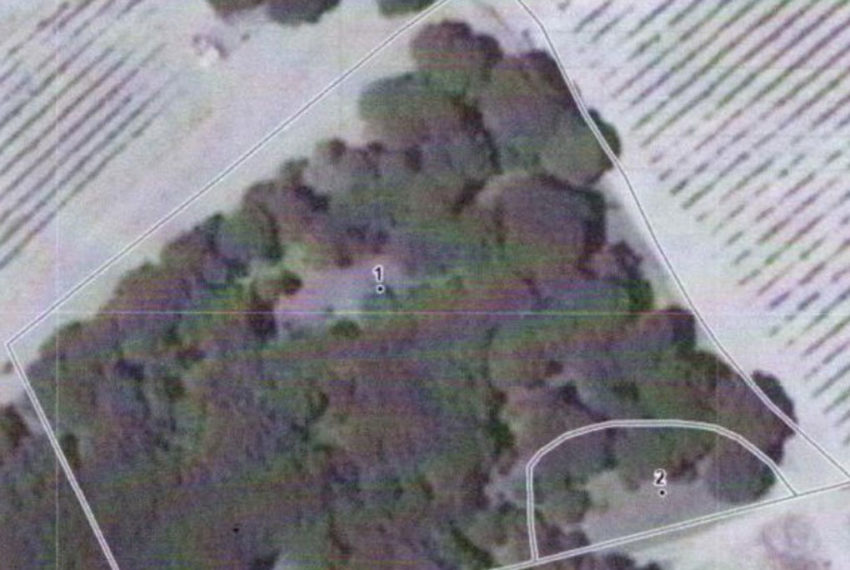 nuevogar-pinar-terreno-t002-02
